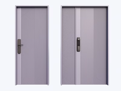 Gray Mesh Design Security Doors Single and Double Panel with Secure Locks 3d model