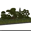Topiary Shrubs With Multiple Shaped Designs Enhance Garden Landscape Greenery