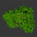 3D Scene Component Tree With Green Leaves Brown Trunk Yellow Base And Purple Decorations