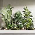 Garden Miniature Landscape With Various Green Plants Pebbles And Decorative Lights In White Rectangular Planter