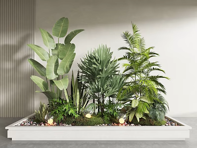 Garden Miniature Landscape With Various Green Plants Pebbles And Decorative Lights In White Rectangular Planter 3d model