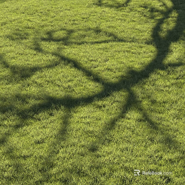 Lush Green Grass Field With Tree Branch Shadows Under Sunlight 3d model 