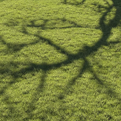 Lush Green Grass Field With Tree Branch Shadows Under Sunlight 3d model