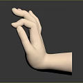 Detailed Anatomical Hand 3D Model With Smooth Texture Light Color And Dark Background