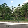 Office Landscape With Lush Trees Green Grass And Blue Sky White Clouds