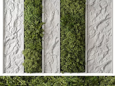 Vertical Greenery Wall With Textured White Walls And Lush Foliage 3d model