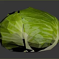 Fresh Green Cabbage With Crisp Wrinkled Leaves On Dark Reflective Surface