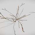 3D Rendered Various Plants Featuring Grass Shrubs Slender Branches And Clustered Leaves In Natural Landscape