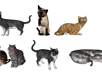Different Cat Breeds With Cozy Pet Bed For Feline Enthusiasts 3d model