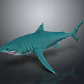 Turquoise Shark 3D Model With Open Mouth And Exposed Teeth On Gray Background With Reflection