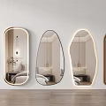 Modern Ins Style Dressed Mirror Floor Mirror Full-length Mirror Shaped Mirror Decorative Mirror 3d model