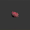 Human Heart Anatomical Model With Detailed Vascular Structures And Pink Texture