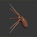 Unique Starfish With Multiple Spikes And Red Center On Dark Background