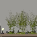 Lush Green Bamboo Plants With Stone Lanterns And Moss On Wooden Floor