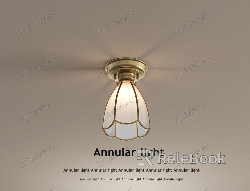 French retro ceiling lamp model