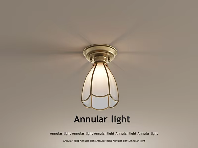 Modern Annular Ceiling Light With Glass Shade For Interior Decoration 3d model