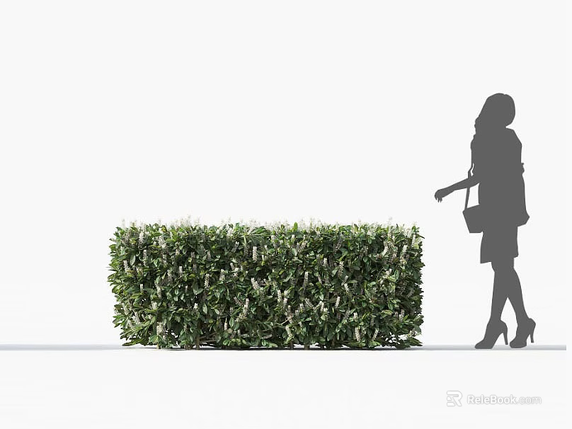 Lush Green Well Trimmed Shrub with Woman Silhouette Walking Beside in Outdoor Area 3d model 