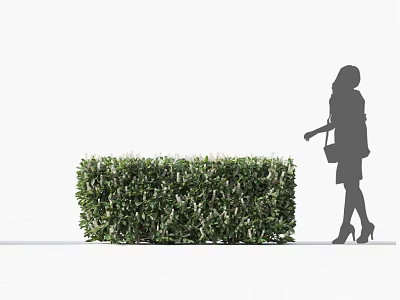 Lush Green Well Trimmed Shrub with Woman Silhouette Walking Beside in Outdoor Area 3d model