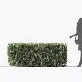Lush Green Well Trimmed Shrub with Woman Silhouette Walking Beside in Outdoor Area