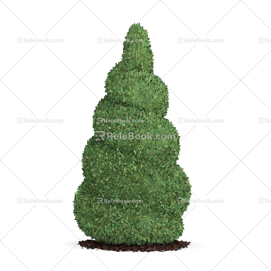 Round cypress garden plants 3d model