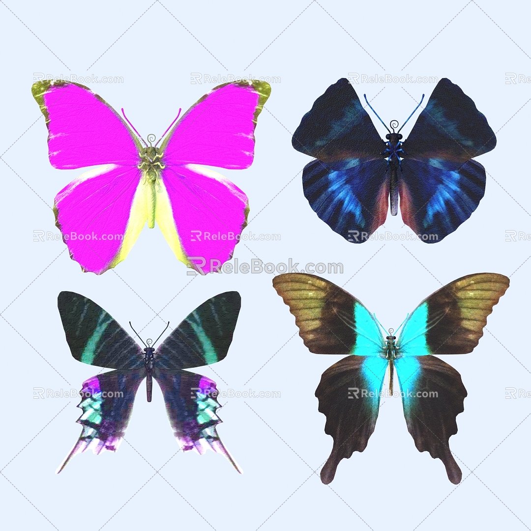 butterfly animal flying creature 3d model