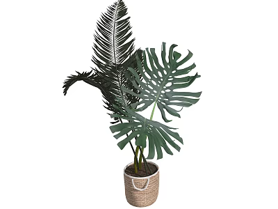 Potted Green Plant with Large Leaves Planted in Wicker Basket Decoration 3d model