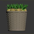 Decorative Wicker Basket Filled With Fresh Green Top Pineapples For Home