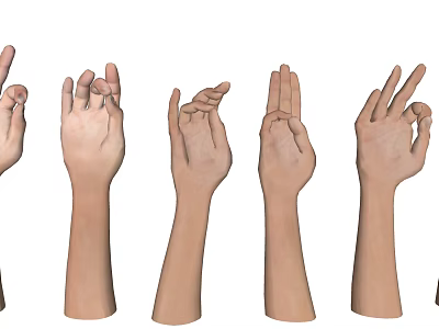 Various Gesture Arm Model Decorative Pendant Featuring Realistic Hand Poses 3d model