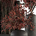 Modern Black Vases With Red Flowers Berries And Leafy Branches Arrangement