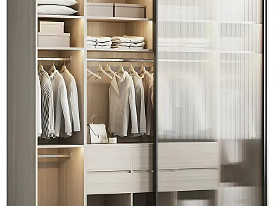 Modern Wardrobe Interior Design With Hanging Rods Folded Clothes And Drawers 3d model