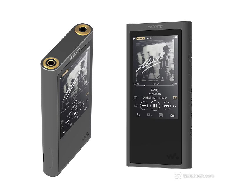Sony Digital Portable Music Player Walkman with Display Screen and Playback Functions 3d model 