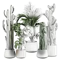 Modern Natural Garden Decor With Cactus Palm And Green Plants In Concrete And Wooden Planters