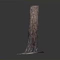 Natural Tree Trunk With Rough Bark Texture Standing On Snow Covered Base 3d model