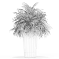 Green Palm Potted Plant in Silver Metal Pot with Lush Fronds for Indoor Decor