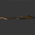 Long Slender Brown And Orange Fish With Reflective Surface On Gray Background
