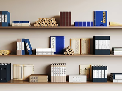 Various Colored Books and Magazines on Shelves with Different Styles and Scrolls 3d model