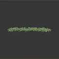 Grape Vine Trellis With Green Vines Yellow Small Flowers And Wooden Support Poles