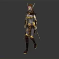 Fantasy Female Elven Warrior Character With Decorative Golden Armour Holding Swords In Battle Pose
