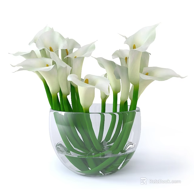 Beautiful White Calla Lily Potted Plant in Transparent Glass Vase Decor 3d model 