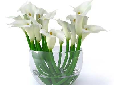 Beautiful White Calla Lily Potted Plant in Transparent Glass Vase Decor 3d model