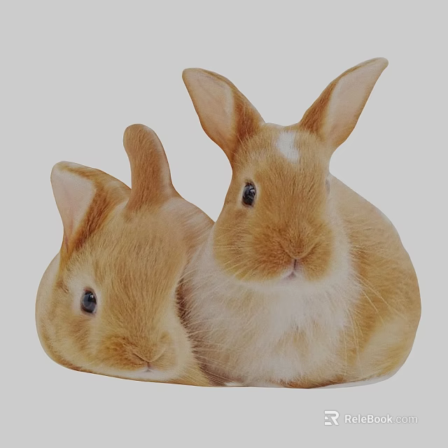 Two Orange Reptiles With Large Ears And Soft Fur In Close Up View 3d model 