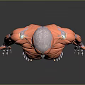 Detailed Human Limbs Muscular Anatomy 3D Model With Visible Muscle Structure