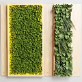 Indoor Living Plant Wall Decor Featuring Various Green Plants And Natural Wooden Frame