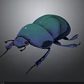 Blue Metallic Beetle with Red Eyes and Blue Legs on Dark Background showing Reflection