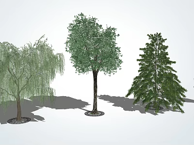 Arbor Trees with Diverse Foliage Shapes and Natural Growth in Landscape Design 3d model