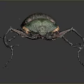 Metallic Green Spotted Beetle With Long Antennae And Legs On Dark Background
