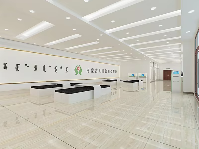 Inner Mongolia Government Service Hall Spacious Interior With White Counters Bright Lighting And Wall Inscriptions 3d model