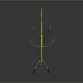 Green and Yellow Praying Mantis With Long Legs on Gray Background