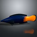 Vibrant Marine Fish With Deep Blue Body And Bright Orange Tail