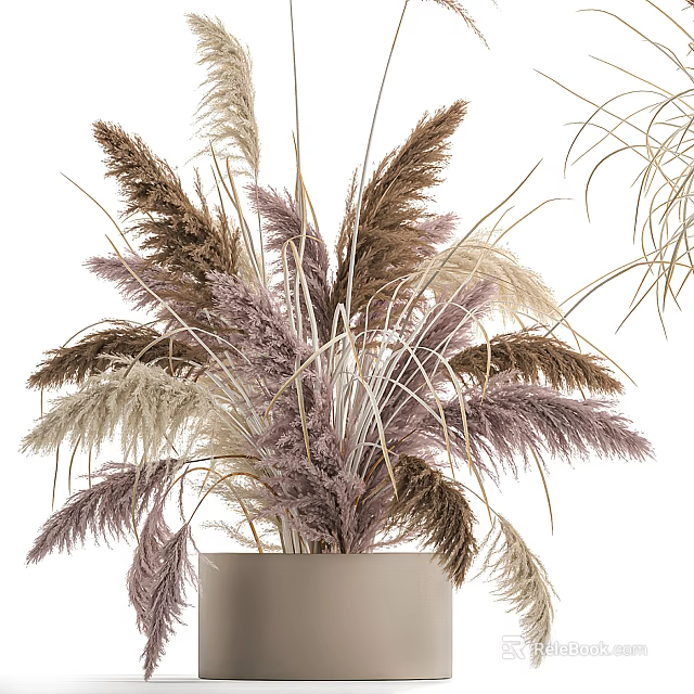 Elegant Bonsai Potted Plant With Brown Purple And White Grasses In Beige Pot 3d model 